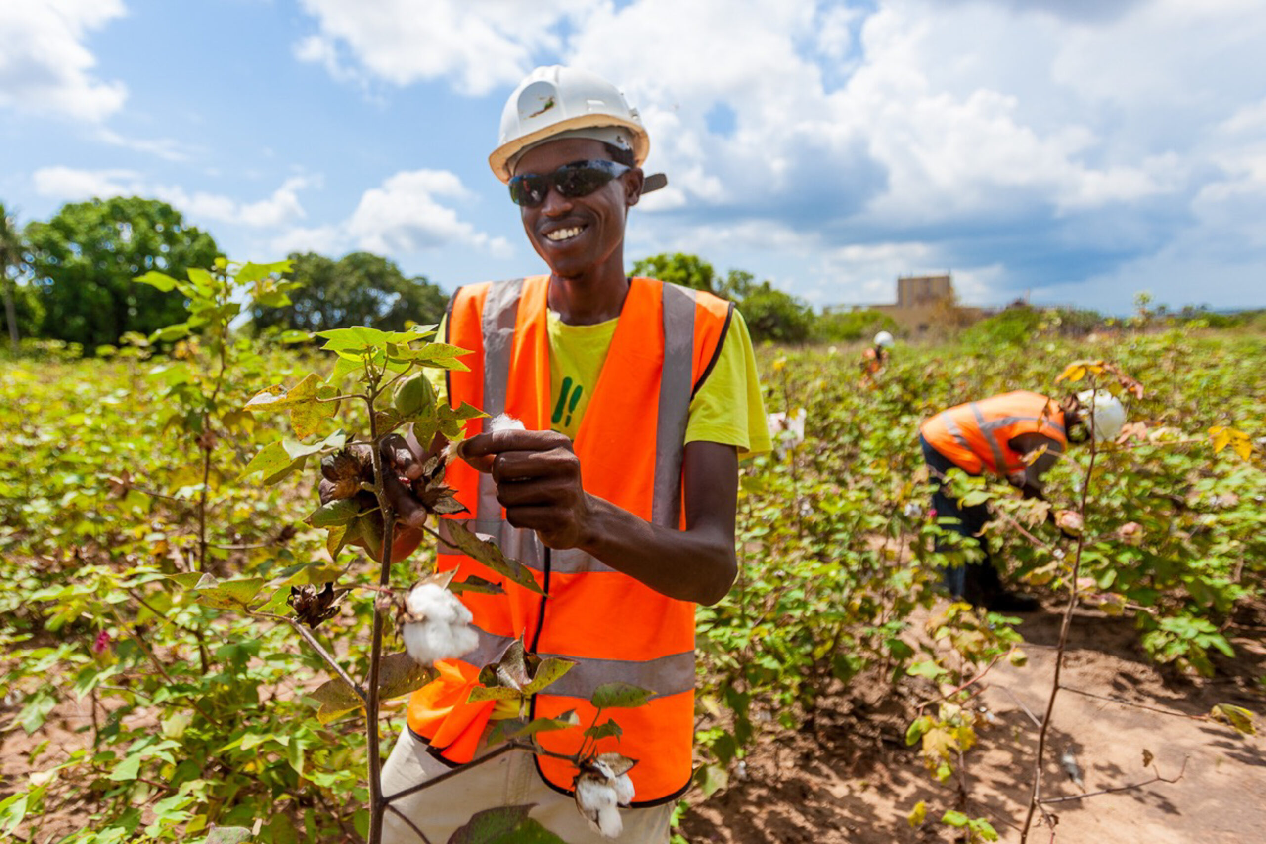 Kenya Cotton Project Recognised in SDGs Report Cotton on Group